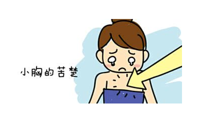 乳腺贴厂家.png