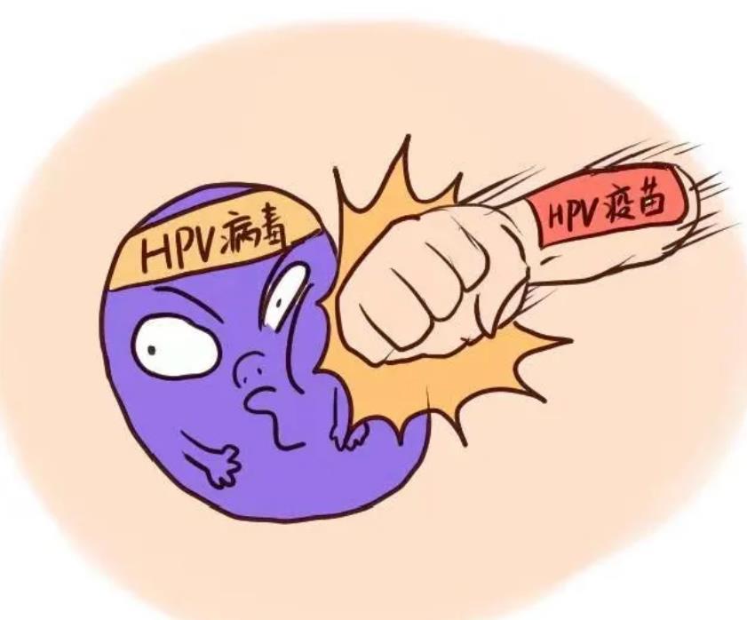 hpv凝胶厂家