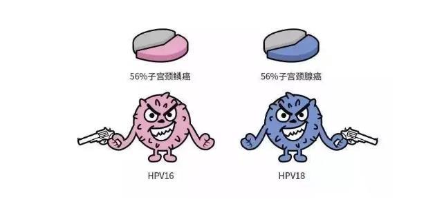 HPV凝胶厂家